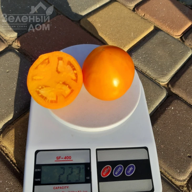 Рани F1 / Rani F1, 62-65 дней фото 2