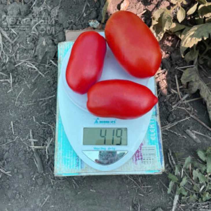 Драй F1 / Dray F1, 95 дней фото 2