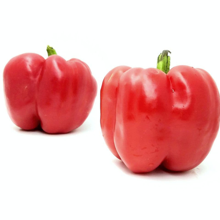 Діагорас F1 / Diahoras F1 фото 1