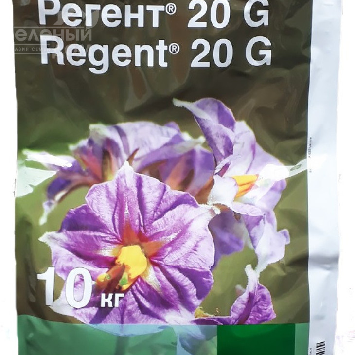 Регент 20 G / Regent 20 G фото 1