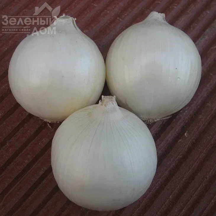 Вайт Опера F1 / White Opera F1 фото 1