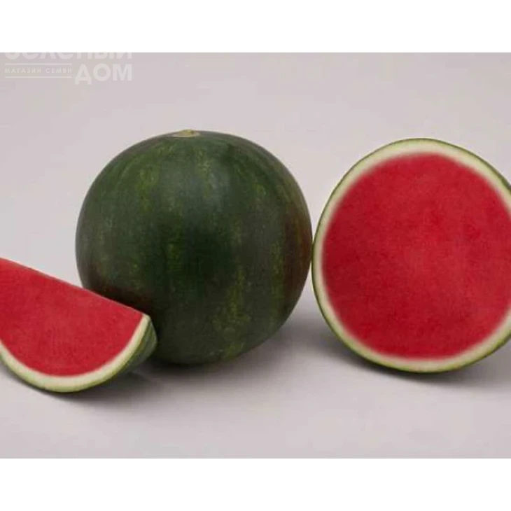 Линкс F1 / Links F1 фото 1