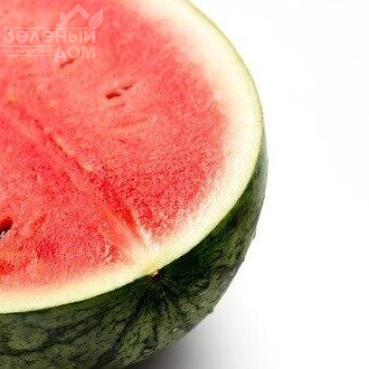 Астрахан F1 / Astrahan F1,64-68 дней фото 2