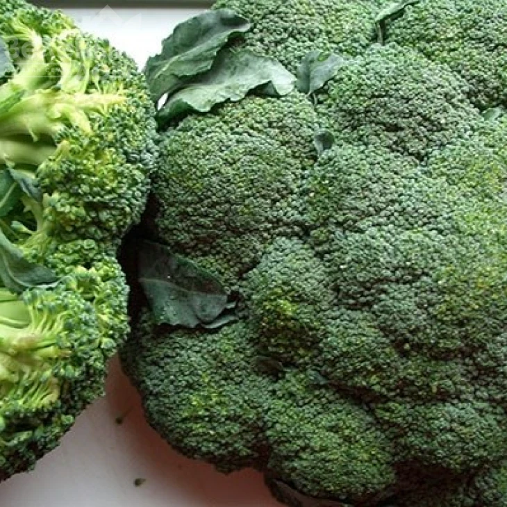 ТБР 508 F1 ( Громовий купол) / TBR  508 F1 (Gromovoy kupol),80-85 дней фото 1