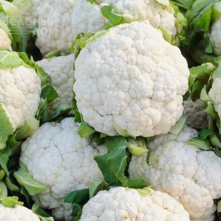 Вітамінна / Vitaminnaya фото 2