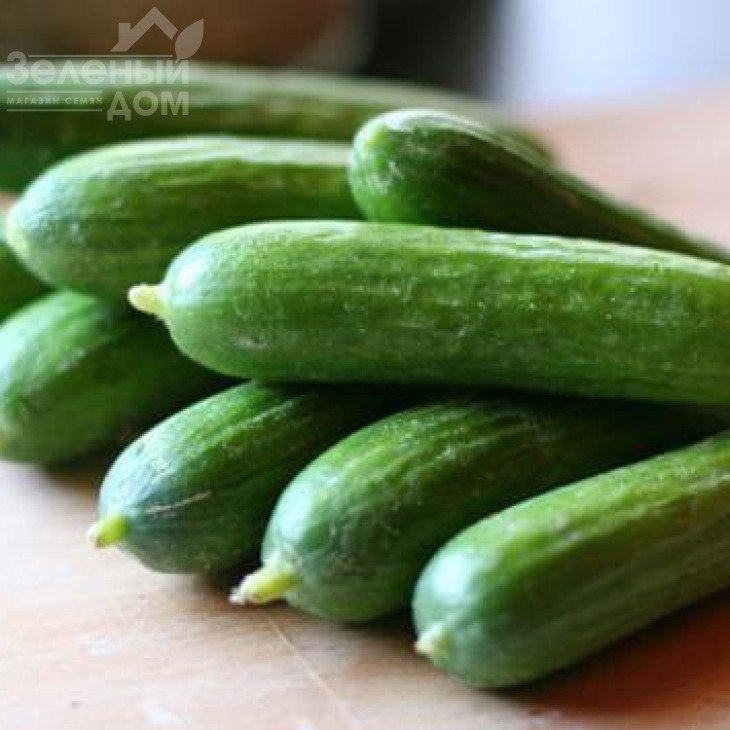 Супер Бейбі F1 / Super Baby F1,42-45 днів фото 1