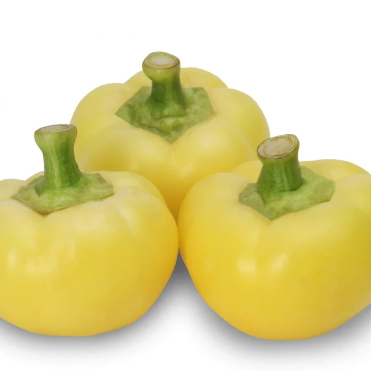 Бикиш F1 / Bikish F1 фото 1