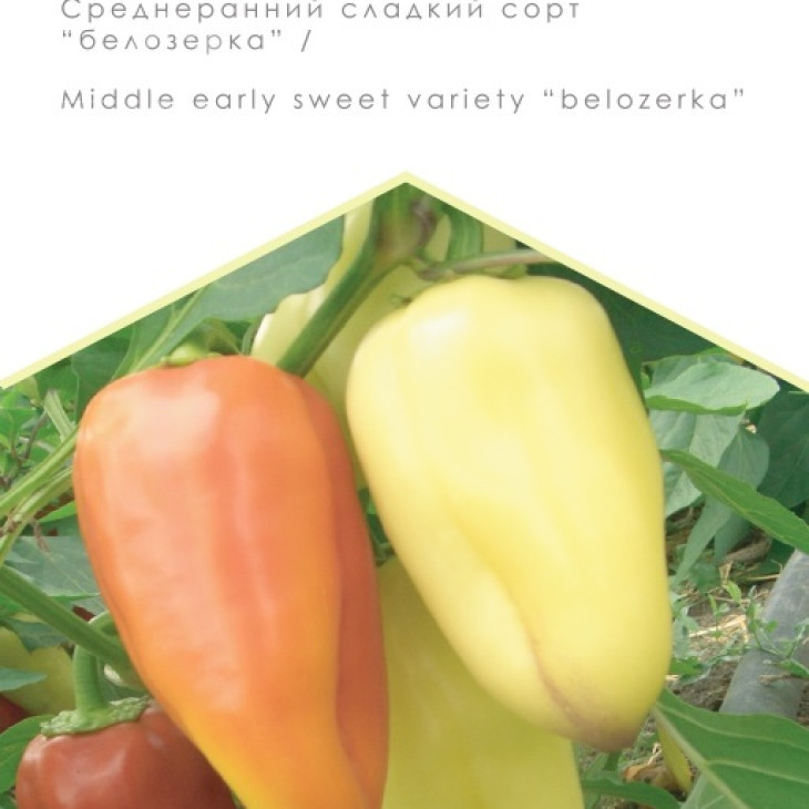 Велізарій  / Velizariy фото 1