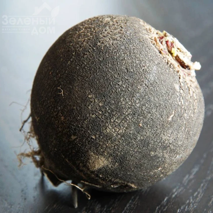 Черная кулата / Kulata,90 дней фото 1