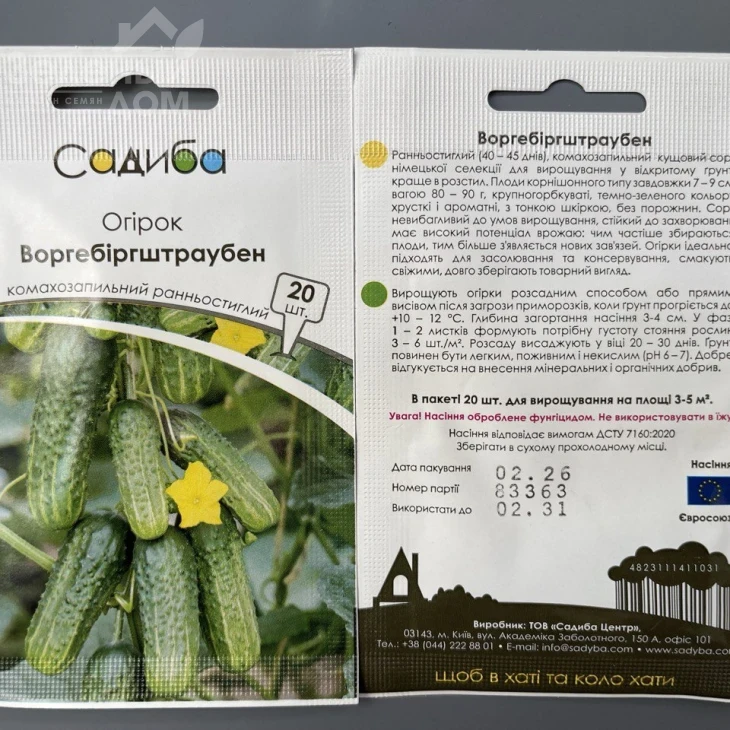 Воргебиргштраубен / Vorgebirgshtrauben, 40-45 дней фото 1