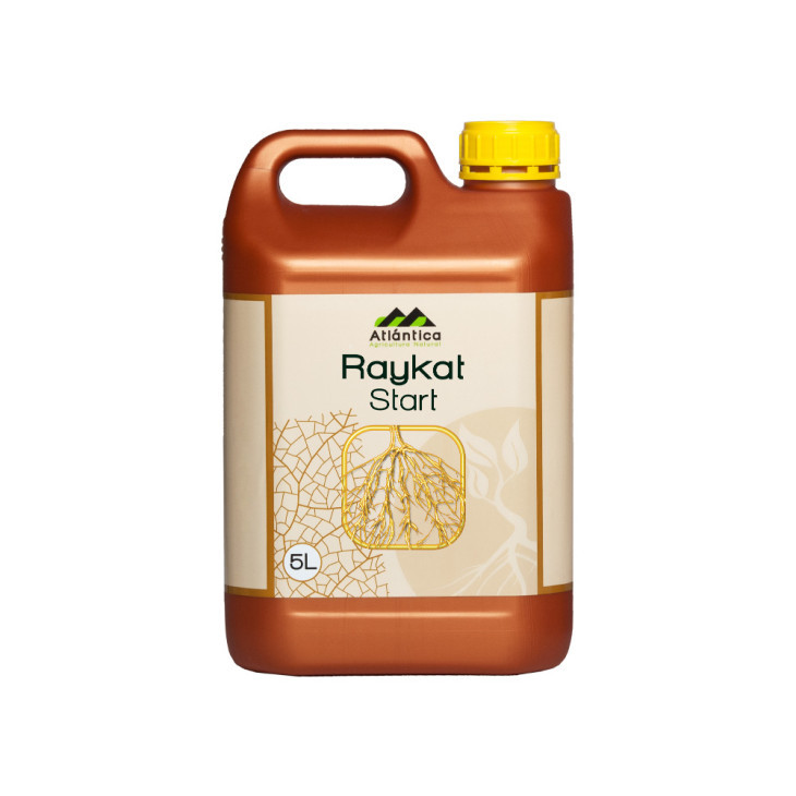 Райкат Старт / Raykat Start фото 1