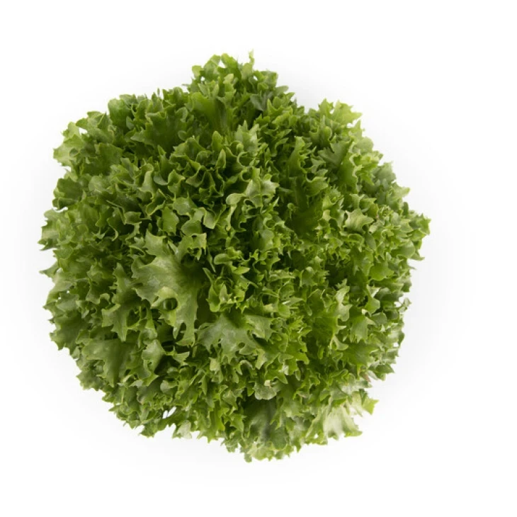 Экспонент / Exponent фото 1