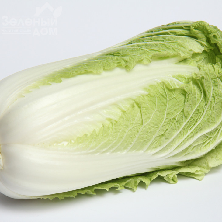 Зимородок F1 / Zymorodok F1,55-65 днів фото 1