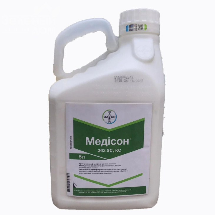 Медісон/ Medison фото 1