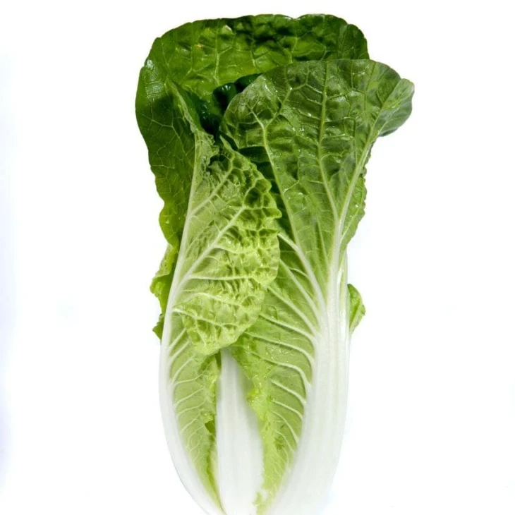 Натсуки F1 / Natsuki F1, 55-60 дней фото 3