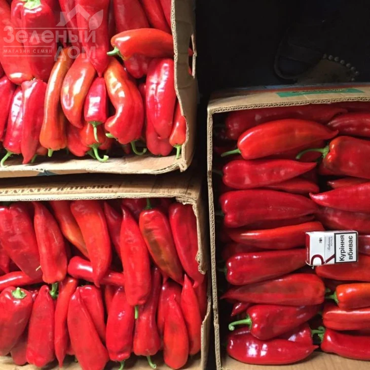 Супер Кап F1 / Super Cаp F1, 60-65 дней фото 5