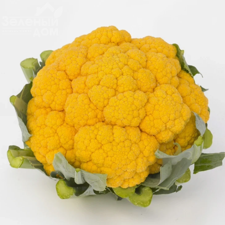 Клементин F1 / Clementine F1, 75-80 дней фото 1