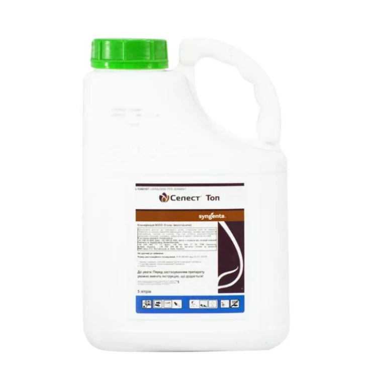 Селест Топ 312.5 FS / Celest Top 312.5 FS фото 1