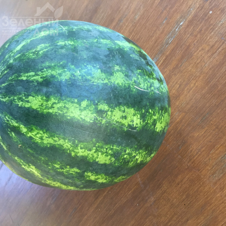 Бонта F1 / Bonta F1, 60-65 днів фото 3