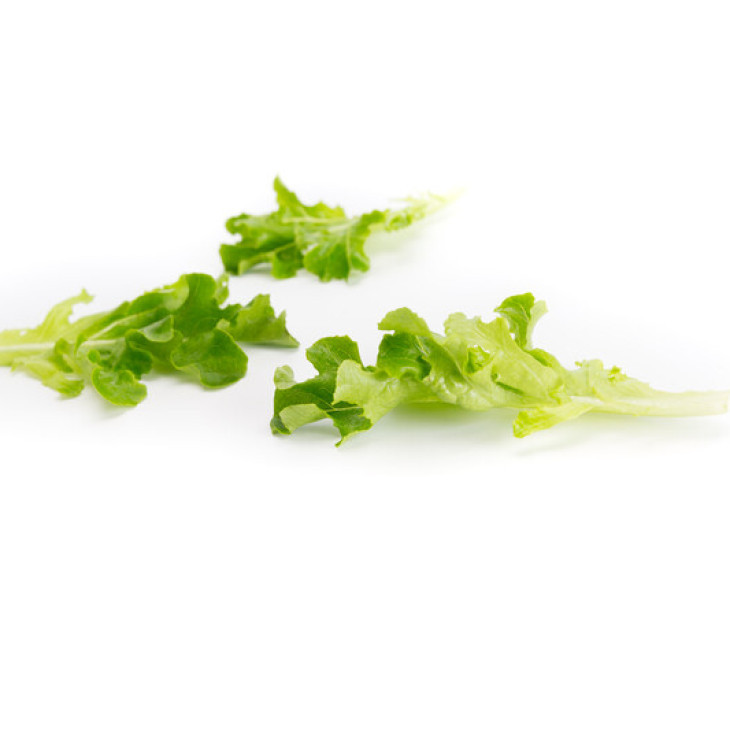 Вебер / Webber фото 1