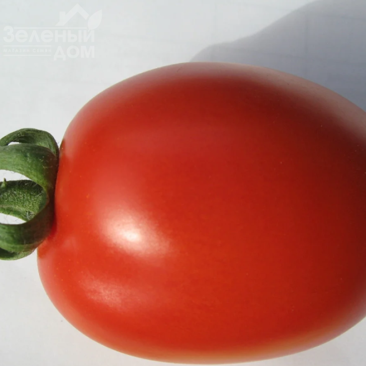 Адванс F1 / Advans F1,110-120 днів фото 3