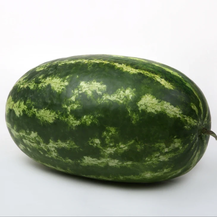 ЛС 1807 F1 / LS 1807 F1 фото 2