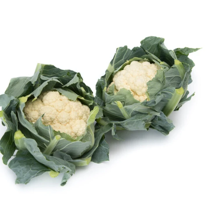 Веноса F1 / Venosa F1, 70 - 80 дней фото 2