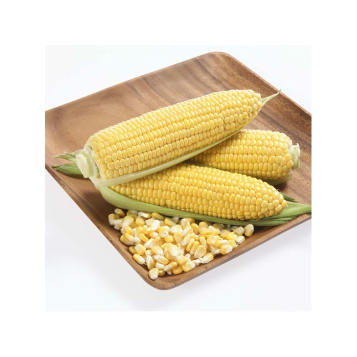 Карамелло F1 / Caramello F1,59-65 днів фото 3