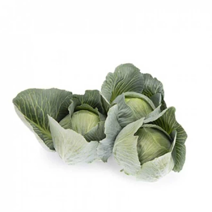 Владима F1 / Vladima F1, 130 дней фото 2