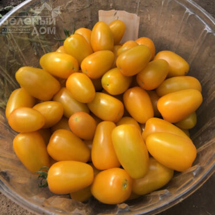 Єллоу Бідс F1 / Yellow Bids F1, 90 днів фото 1