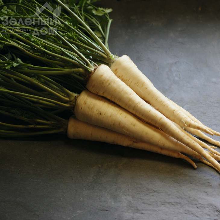 Ігл / Eagl,135 днів фото 1