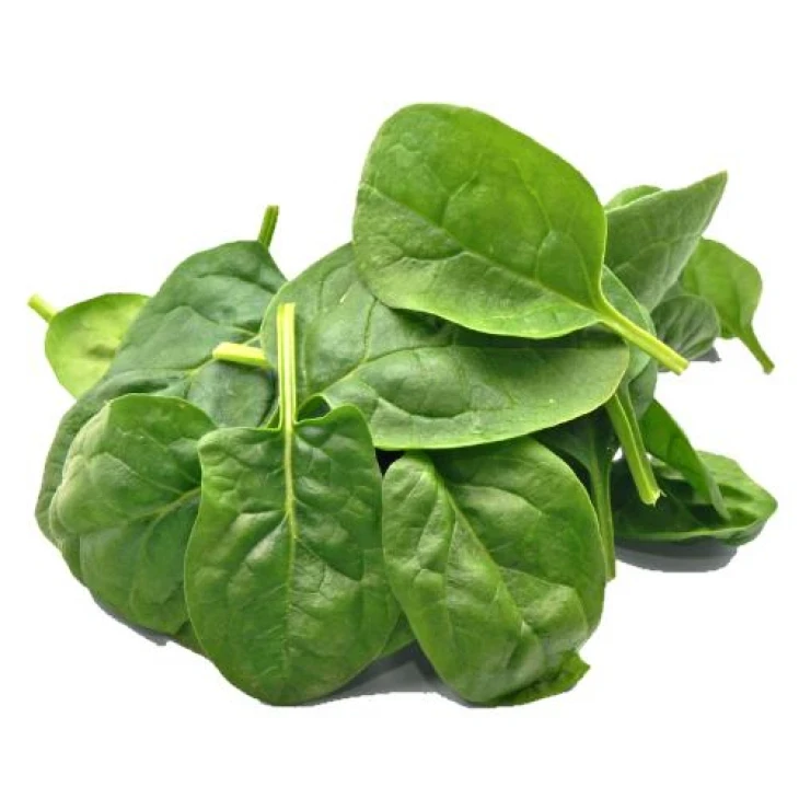 Хадсон F1 / Hadson F1 фото 1