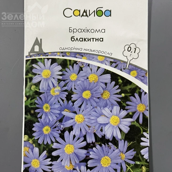 Брахікома блакитна фото 1