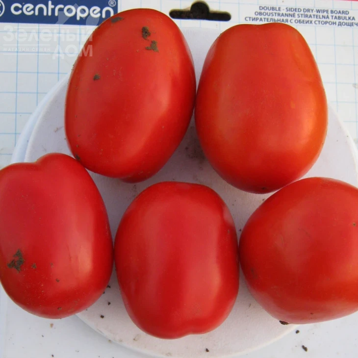 Галакси F1 / Galaxy F1,110-115 дней фото 1