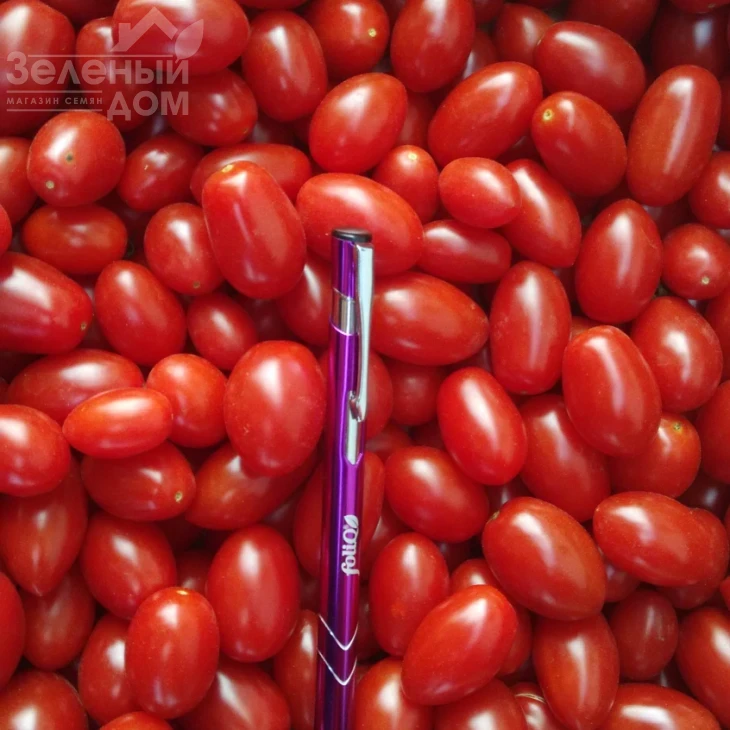 Дольчесио F1 / Dolchicio F1,95-105 дней фото 1