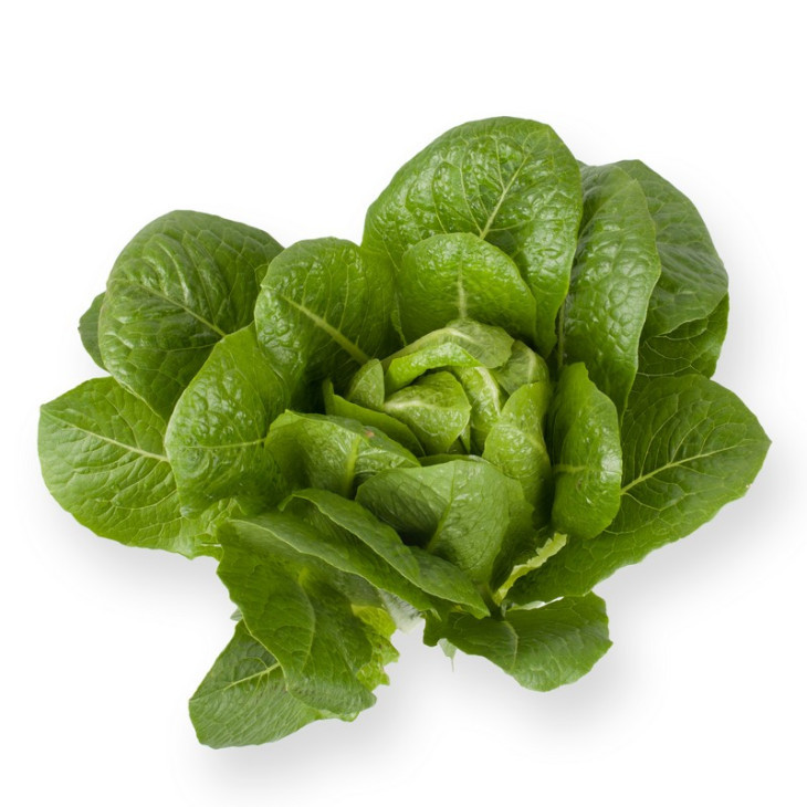 Айвона / Auvona фото 1