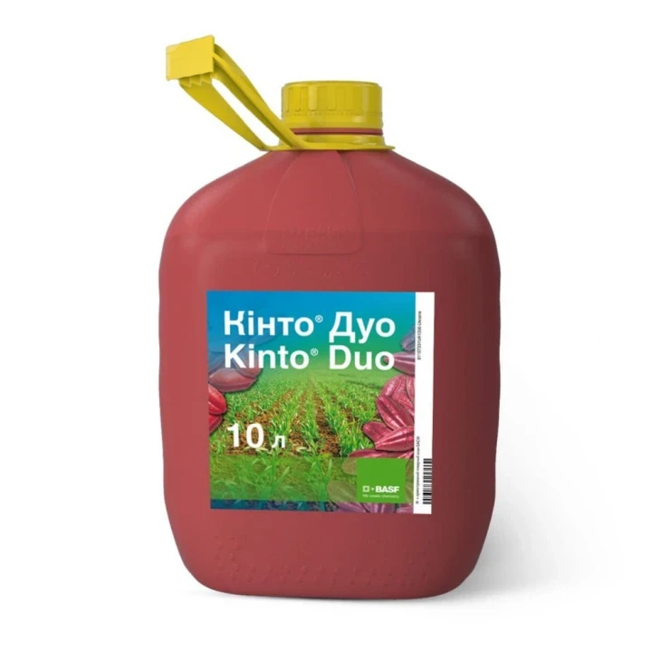 Кінто Дуо / Kinto Duo, КС фото 1