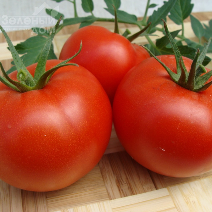 Атерон F1 / Ateron F1 фото 3