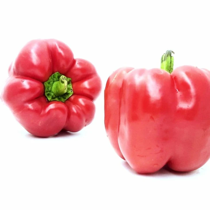 Диагорас F1 / Diahoras F1 фото 5