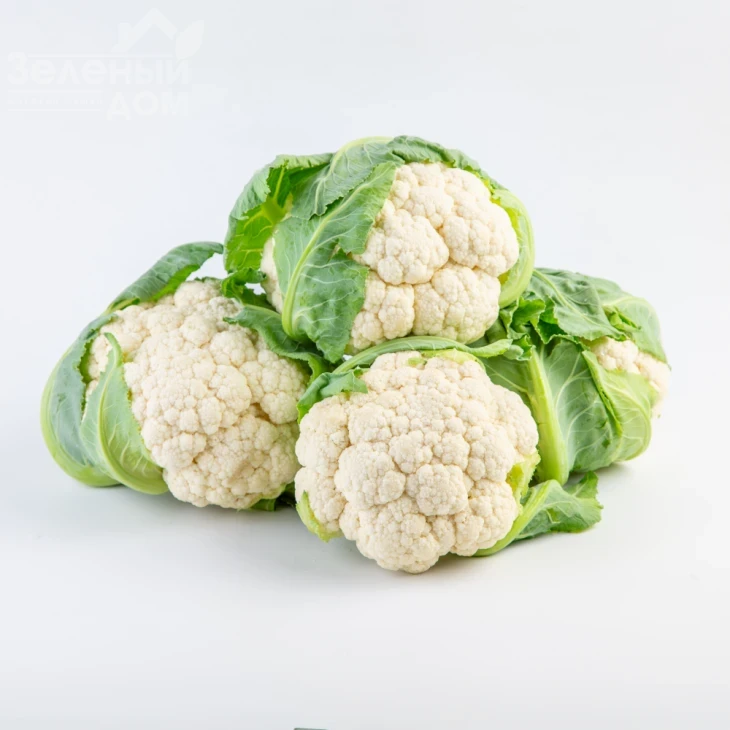 Абени F1 / Abeni F1,63 дня фото 3