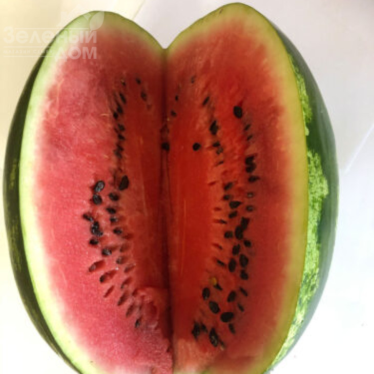 Дата F1 / Data F1, 70-73 дні фото 4