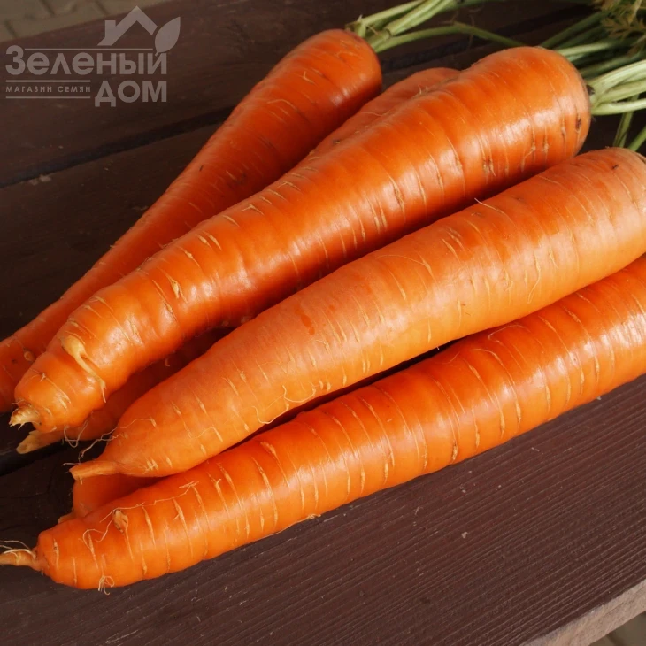 Кларис F1 / Klaris F1, 135-170 дней фото 2