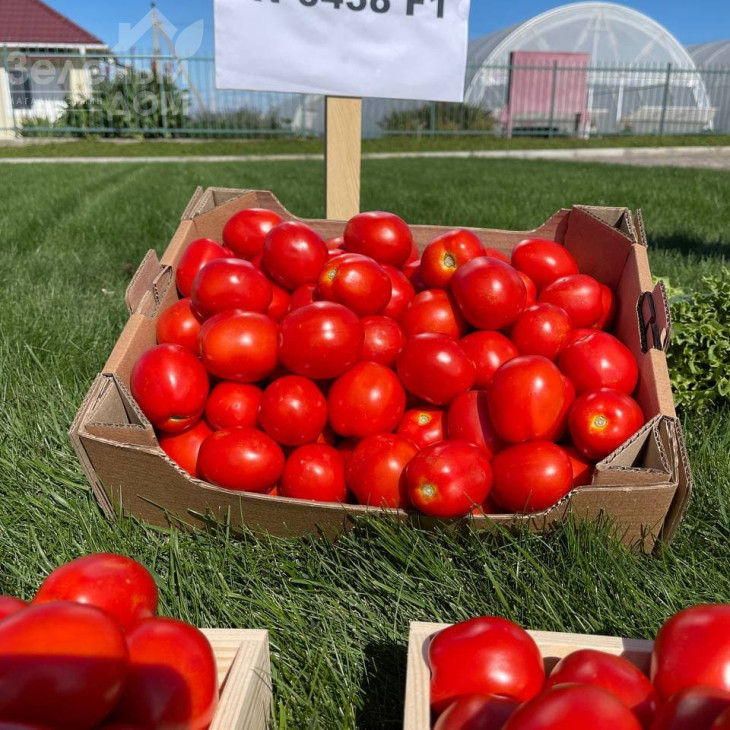 Н6438 F1 / N6438 F1 фото 2