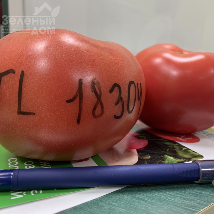 Розетт (ТЛ 18304) F1 / Rosett (TL 18304) F1 фото 3