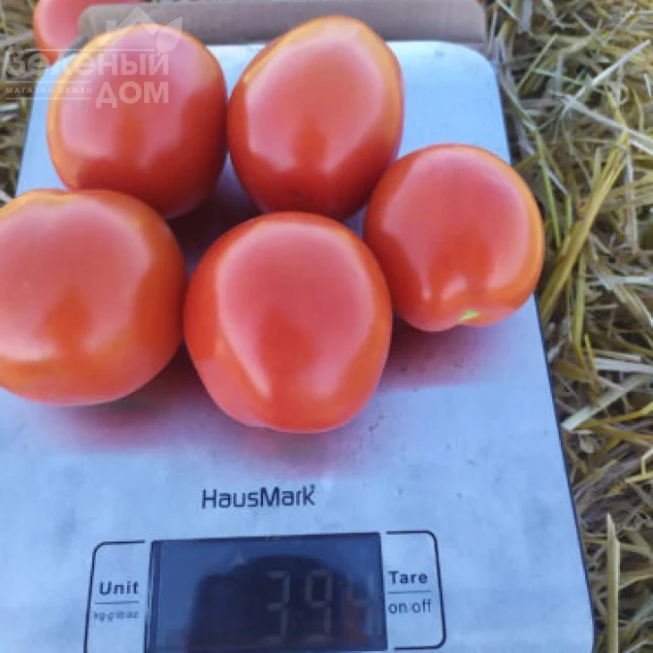 9960 F1 / 9960 F1, 110 дней фото 2