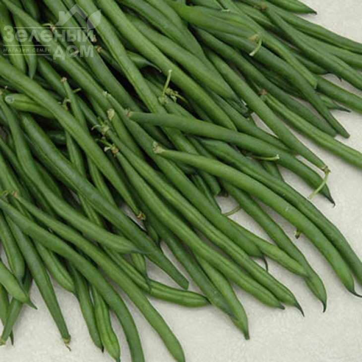 Крокет / Kroket фото 3