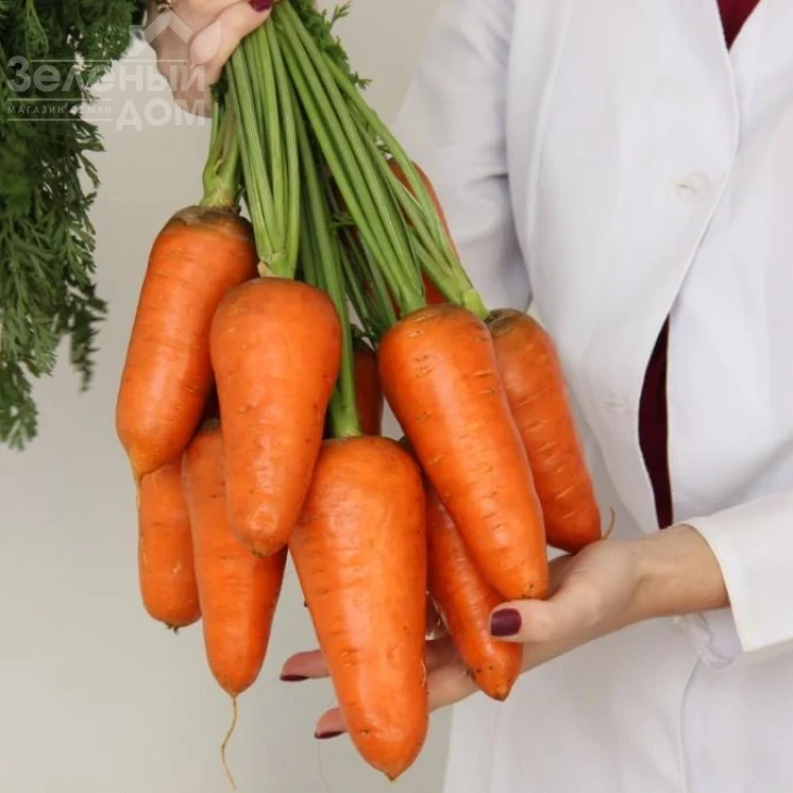 Нарина F1 / Narina F1 фото 1