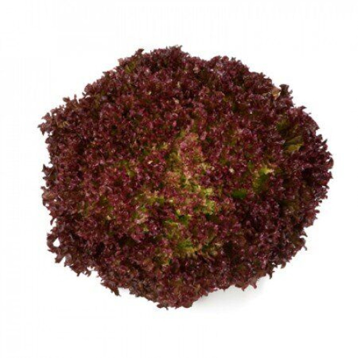 Кавернет / Cavernet фото 1