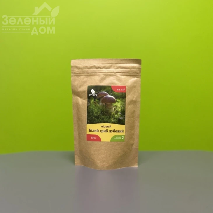 Белый гриб дубовый фото 1