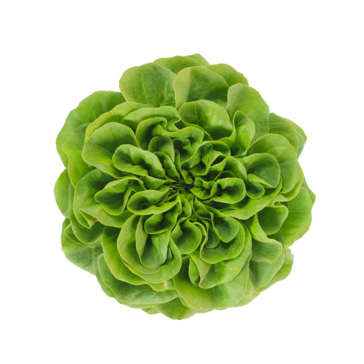 Аквіно / Aquino фото 1